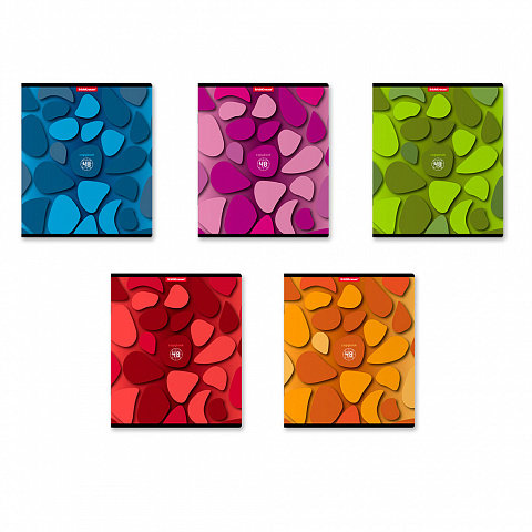 Тетрадь 48л Color Stones, клетка
