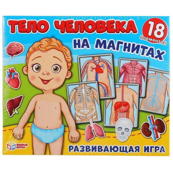 Игра магнитная Тело человека