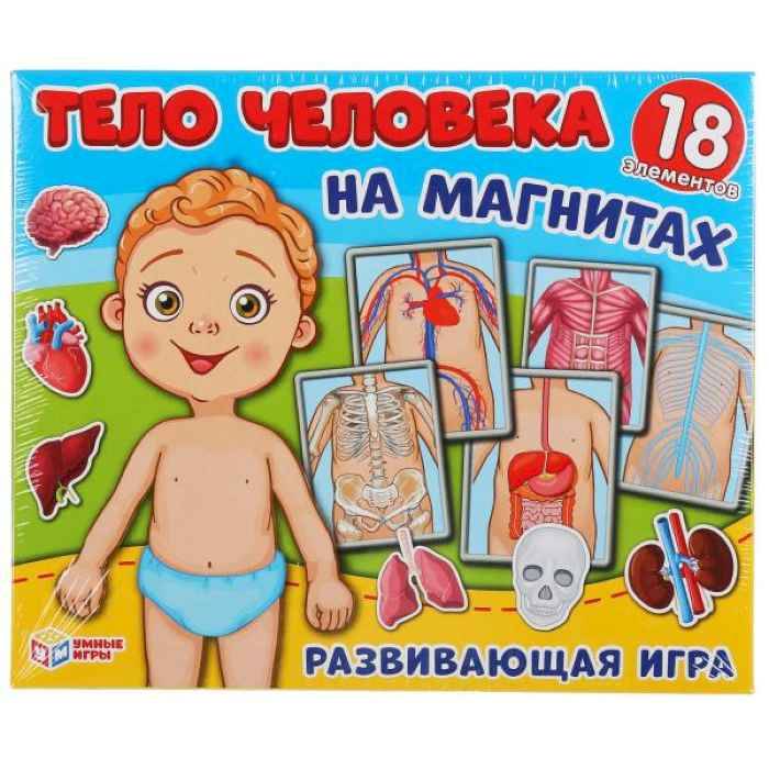 Игра магнитная Тело человека