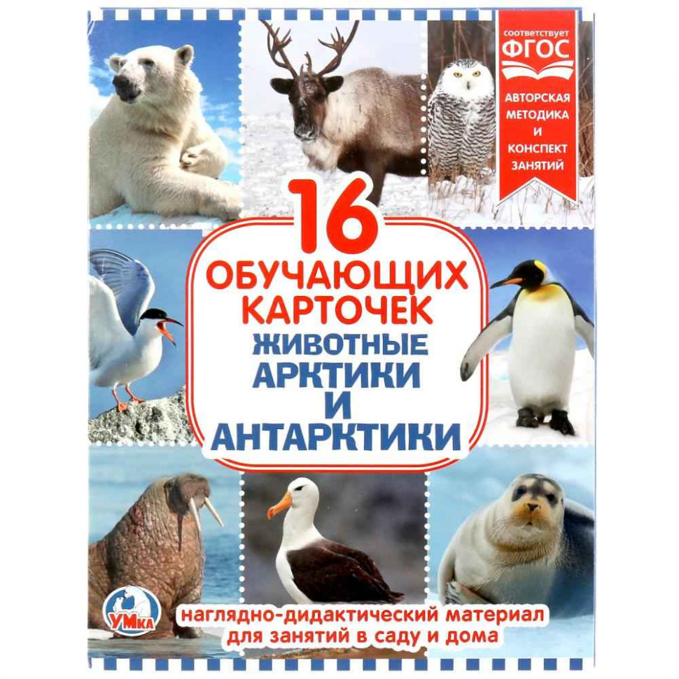 Карточки Умка Животные Арктики