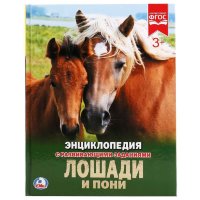 Энциклопедия Умка Лошади и пони, твердый переплет, А4
