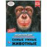 Энциклопедия Умка Самые умные животные, твердый переплет, А4 Энциклопедия Умка Самые умные животные, твердый переплет, А4