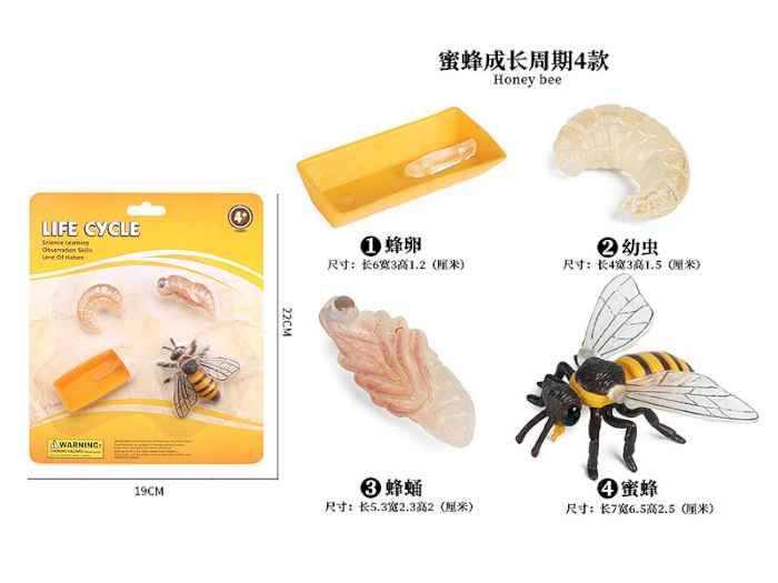 Фигурка Жизненный цикл Пчела
