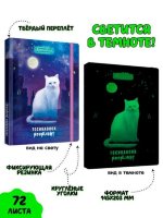 Скетчбук-Точкабук Кошка в ночном городе (светится в темноте)