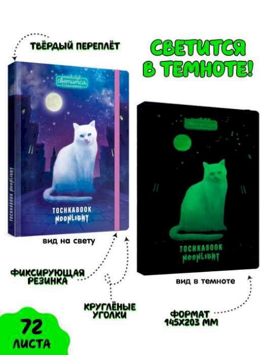 Скетчбук-Точкабук Кошка в ночном городе (светится в темноте) Скетчбук-Точкабук Кошка в ночном городе (светится в темноте)