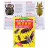 Энциклопедия Большая книга Жуки Энциклопедия Большая книга Жуки