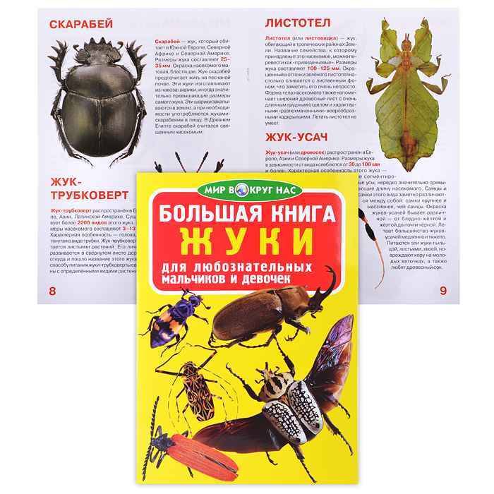 Энциклопедия Большая книга Жуки Энциклопедия Большая книга Жуки