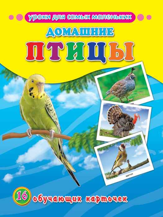 Карточки обучающие Домашние птицы