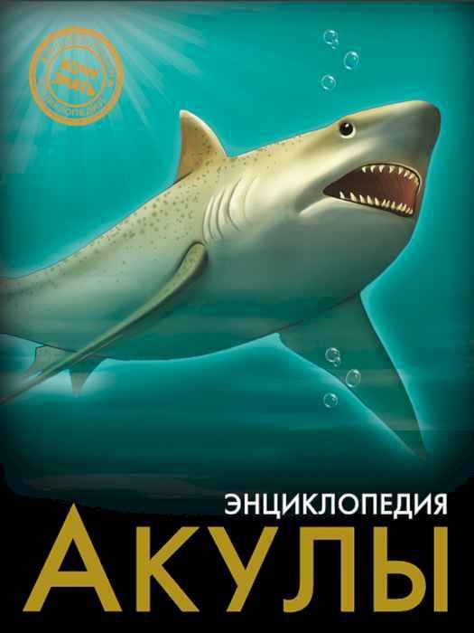 Энциклопедия Хочу знать Акулы Энциклопедия Хочу знать Акулы