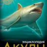 Энциклопедия Хочу знать Акулы Энциклопедия Хочу знать Акулы