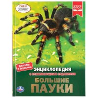 Энциклопедия Умка Большие пауки, твердый переплет, А4