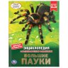 Энциклопедия Умка Большие пауки, твердый переплет, А4