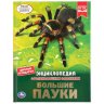 Энциклопедия Умка Большие пауки, твердый переплет, А4