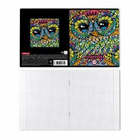 Тетрадь 48л Owls, клетка