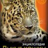 Энциклопедия Хочу знать Дикие кошки Энциклопедия Хочу знать Дикие кошки