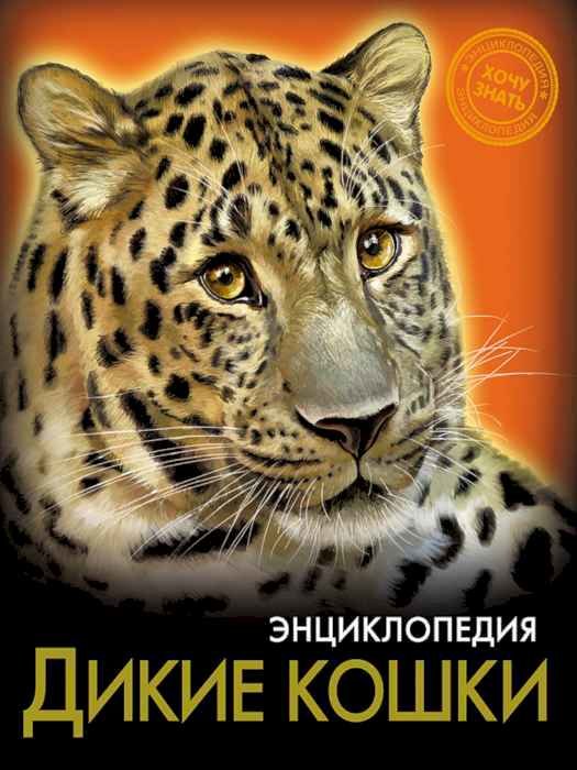 Энциклопедия Хочу знать Дикие кошки Энциклопедия Хочу знать Дикие кошки