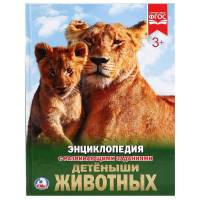 Энциклопедия Умка Детеныши животных, твердый переплет, А4