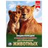 Энциклопедия Умка Детеныши животных, твердый переплет, А4 Энциклопедия Умка Детеныши животных, твердый переплет, А4