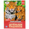 Энциклопедия Умка Детеныши хищников, твердый переплет, А4