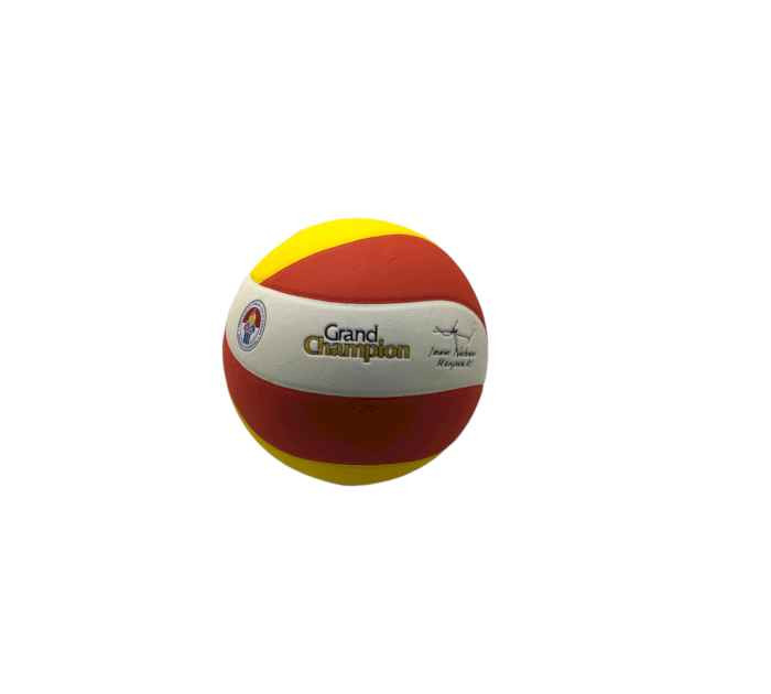 Мяч волейбольный F33976